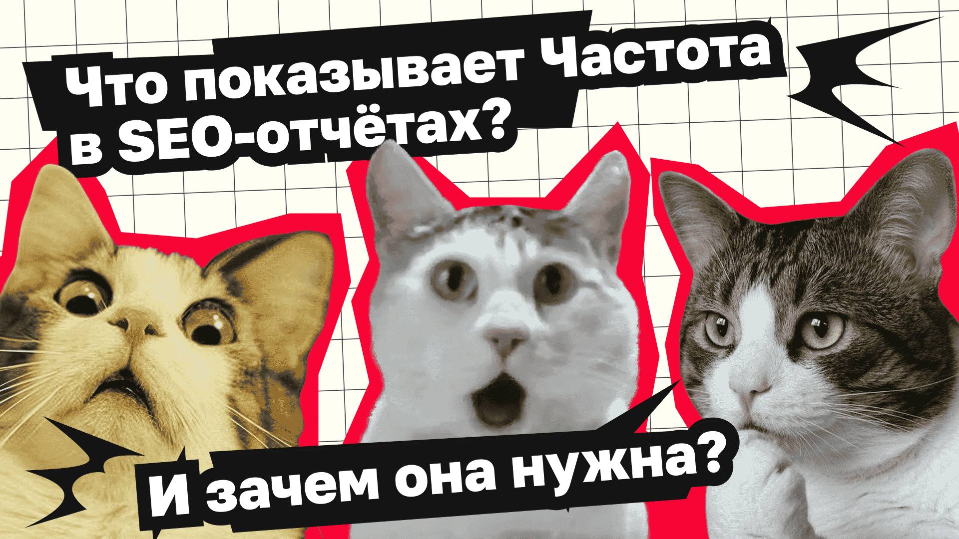 📊 &laquo;Частота запросов&raquo; в отчёте и как она влияет на бизнес Клиент открывает отчё...
