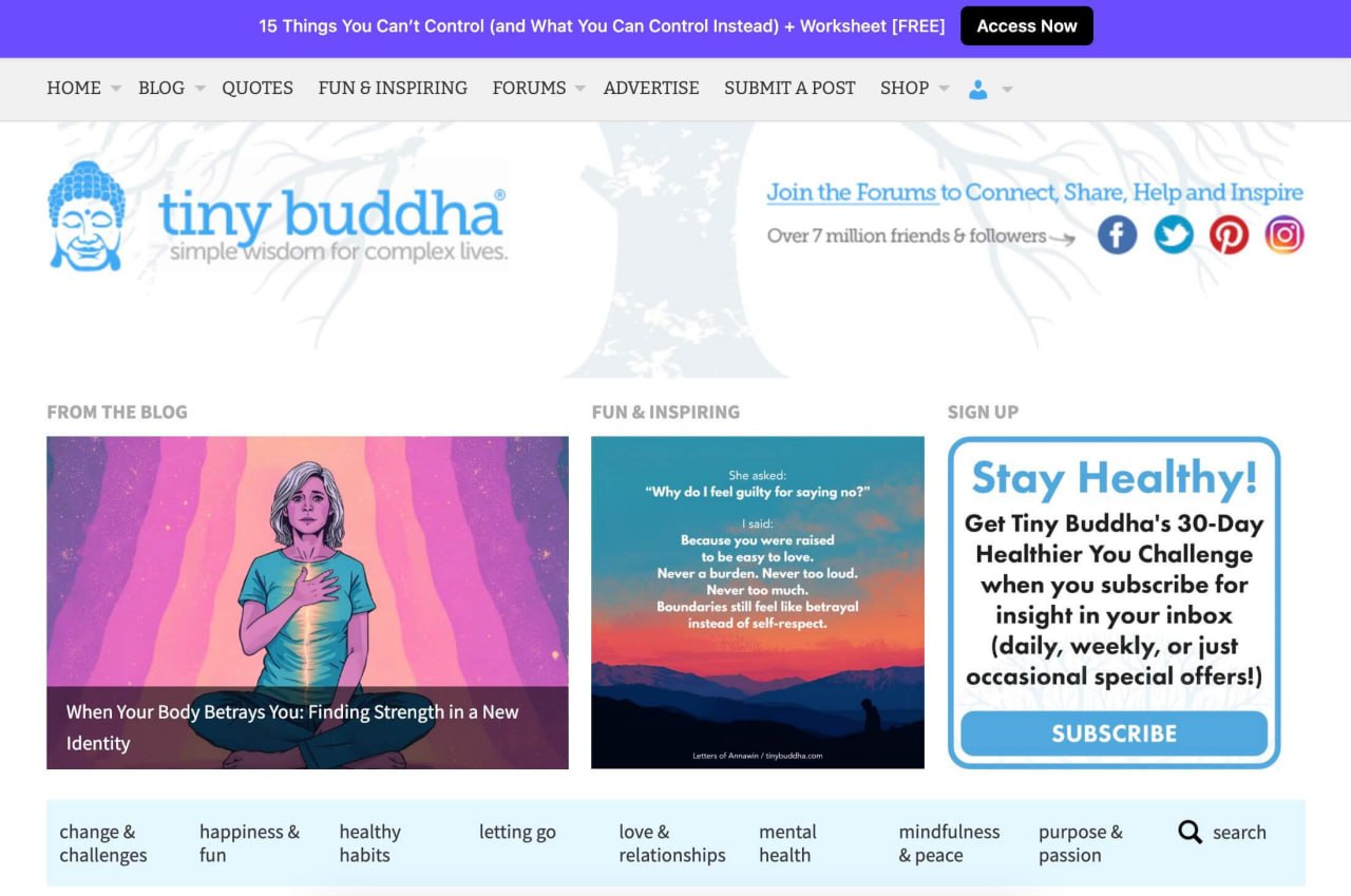 $10 млн в год с сайта с цитатами для вдохновения Tiny Buddha &mdash; это онлайн-сообщество...
