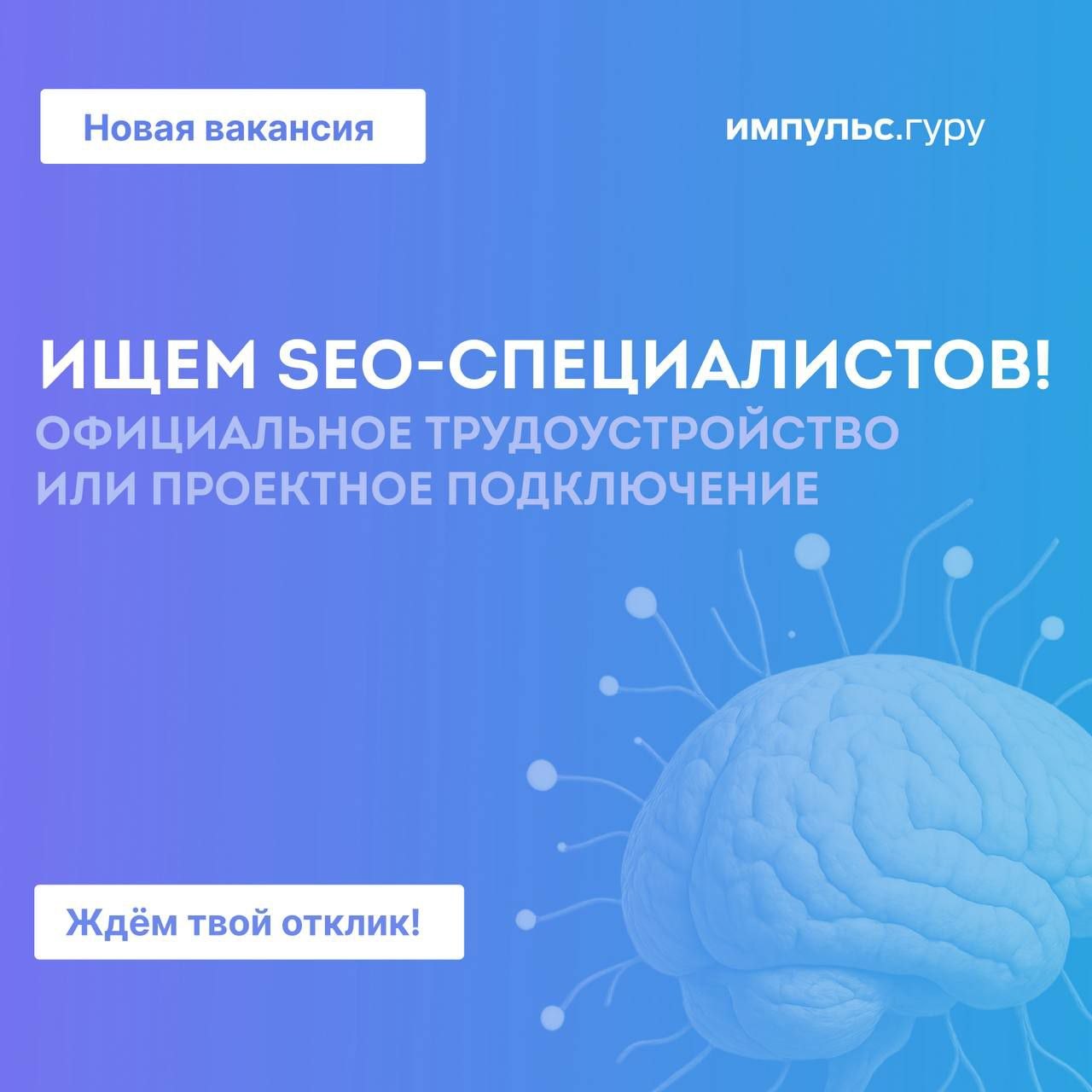 Друзья, приглашаем к сотрудничеству опытных и начинающих SEO-специалистов 👨🏻&zwj;💻👩&zwj;💻...